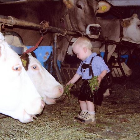 Ferienhof Rinnergut ヒンターシュトダー エクステリア 写真